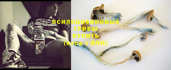 дурь Кулебаки