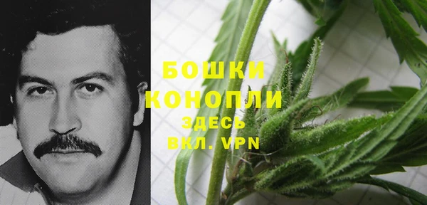 дурь Кулебаки